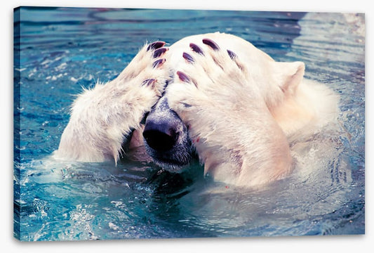 Polar bear peekaboo