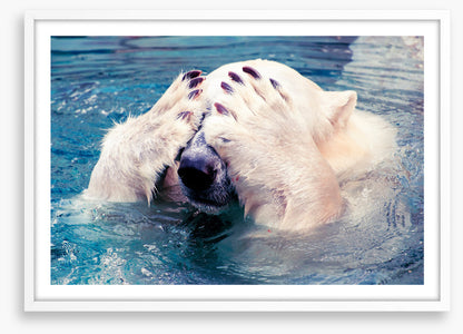 Polar bear peekaboo