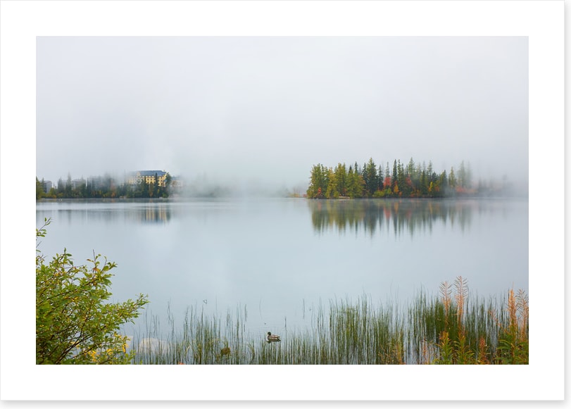 Misty lake morning
