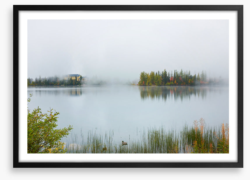 Misty lake morning