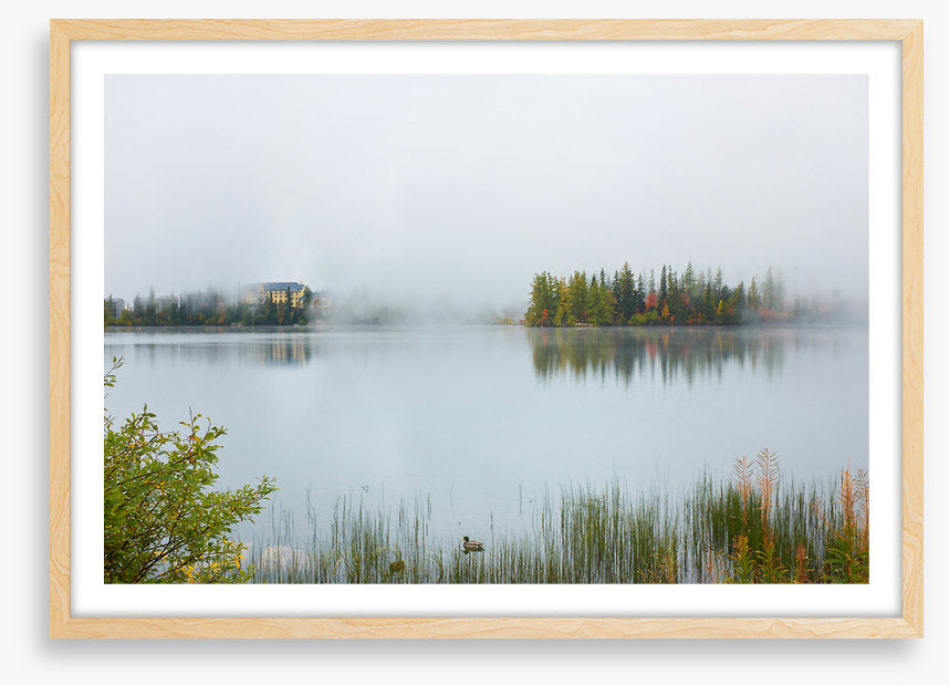 Misty lake morning
