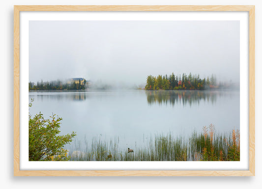 Misty lake morning