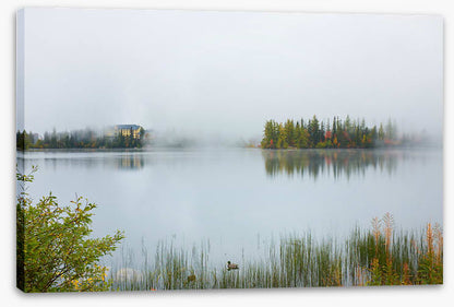Misty lake morning