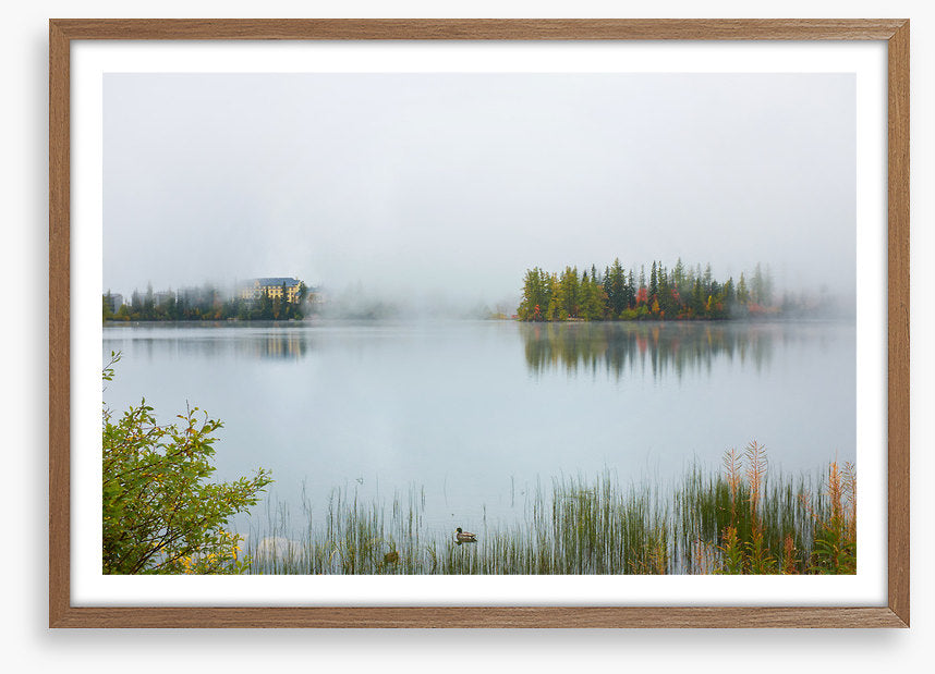 Misty lake morning