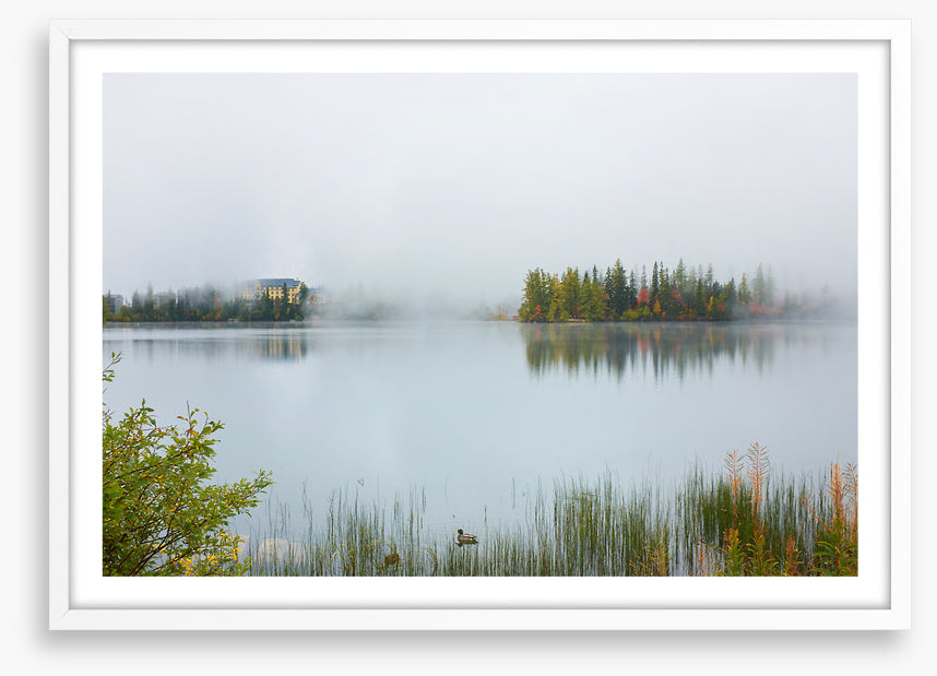 Misty lake morning