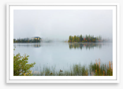 Misty lake morning