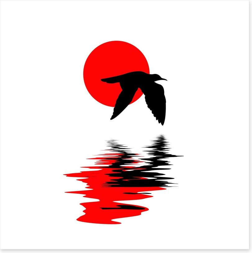 Gull on water