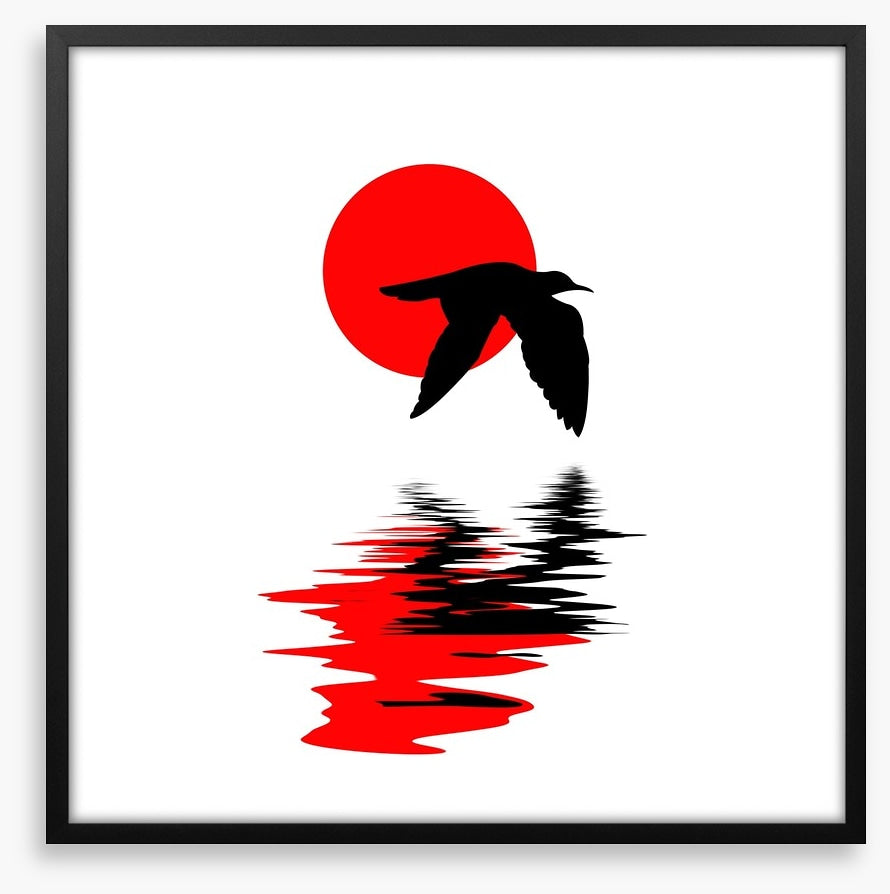 Gull on water