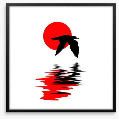 Gull on water
