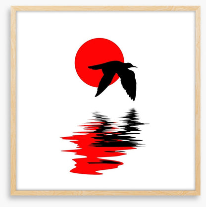 Gull on water