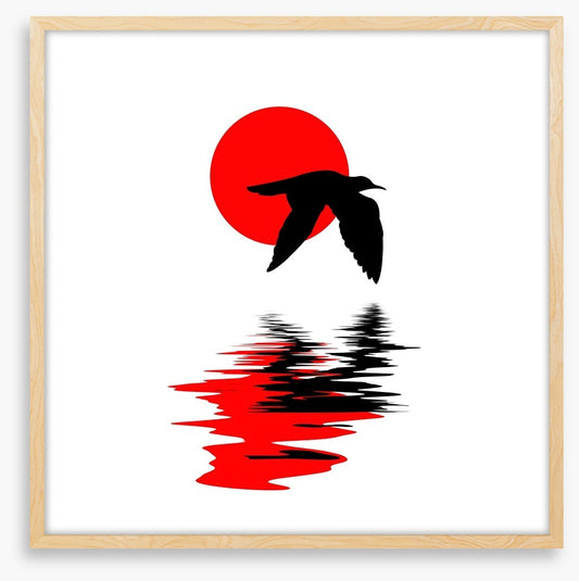 Gull on water