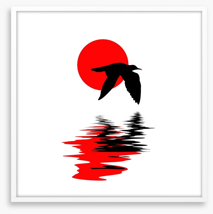 Gull on water