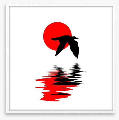 Gull on water