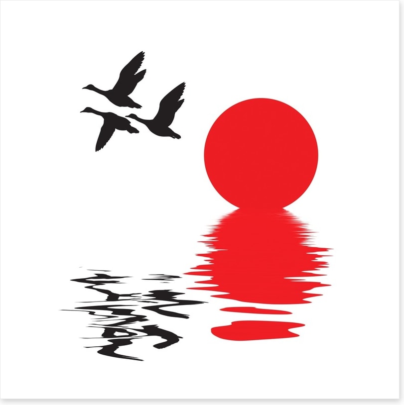 Flying ducks