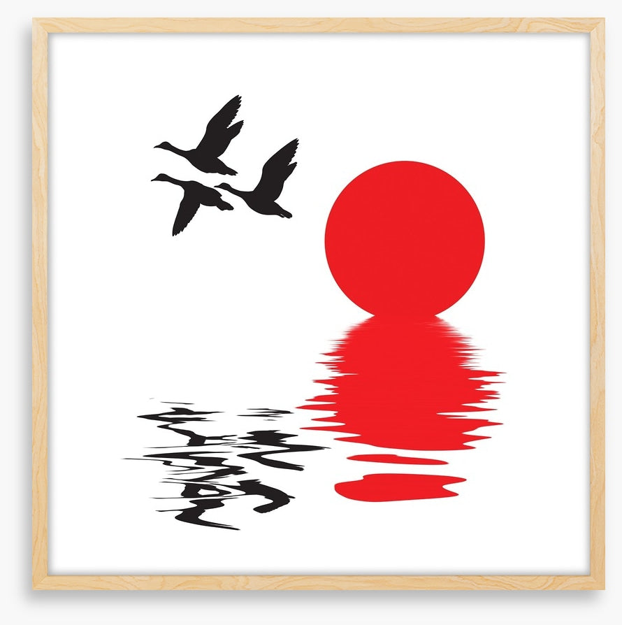 Flying ducks