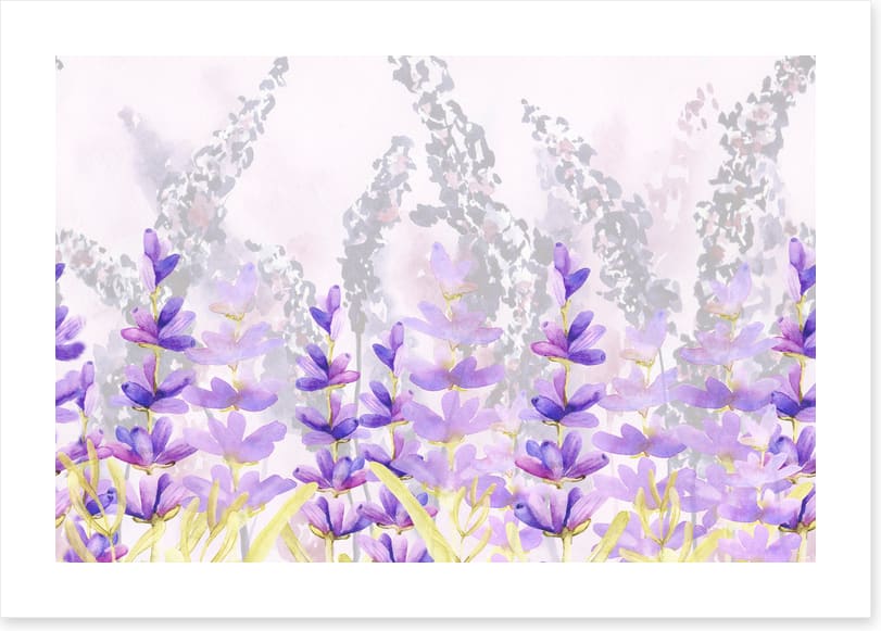 Lovely lavender