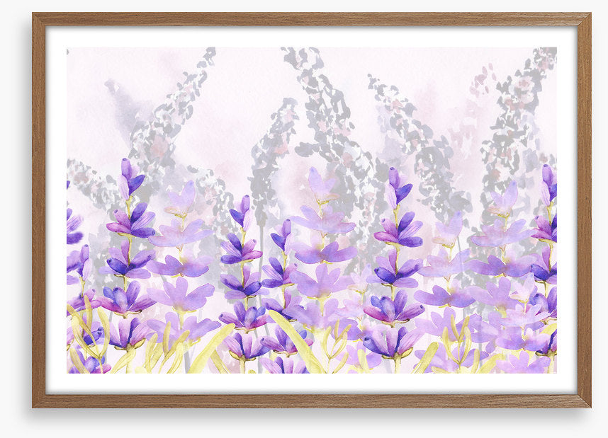 Lovely lavender