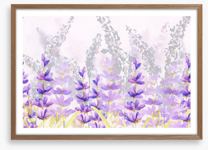 Lovely lavender