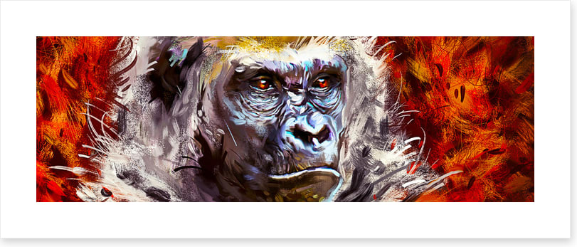 Gorilla gaze