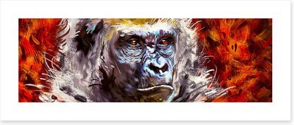 Gorilla gaze