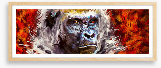 Gorilla gaze
