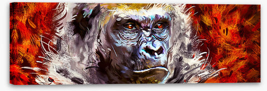 Gorilla gaze