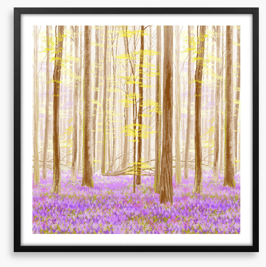 Forest fancy