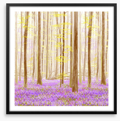 Forest fancy