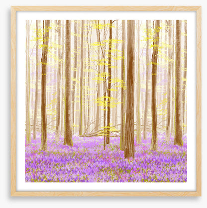 Forest fancy