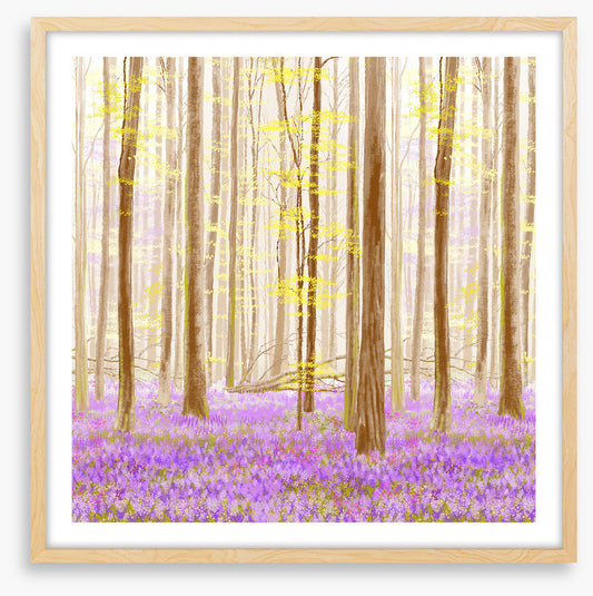 Forest fancy