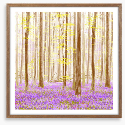 Forest fancy