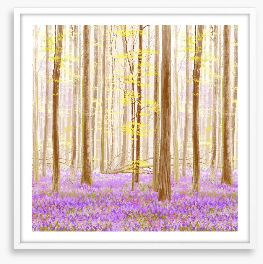 Forest fancy