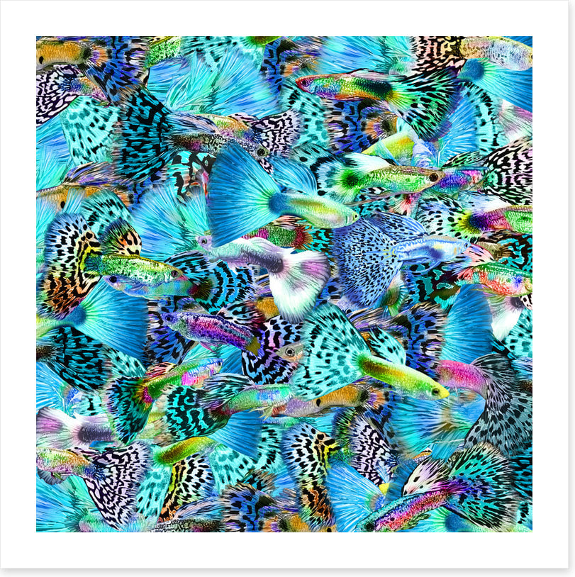 Plenty more fish I