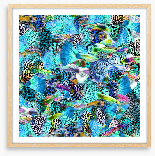 Plenty more fish I