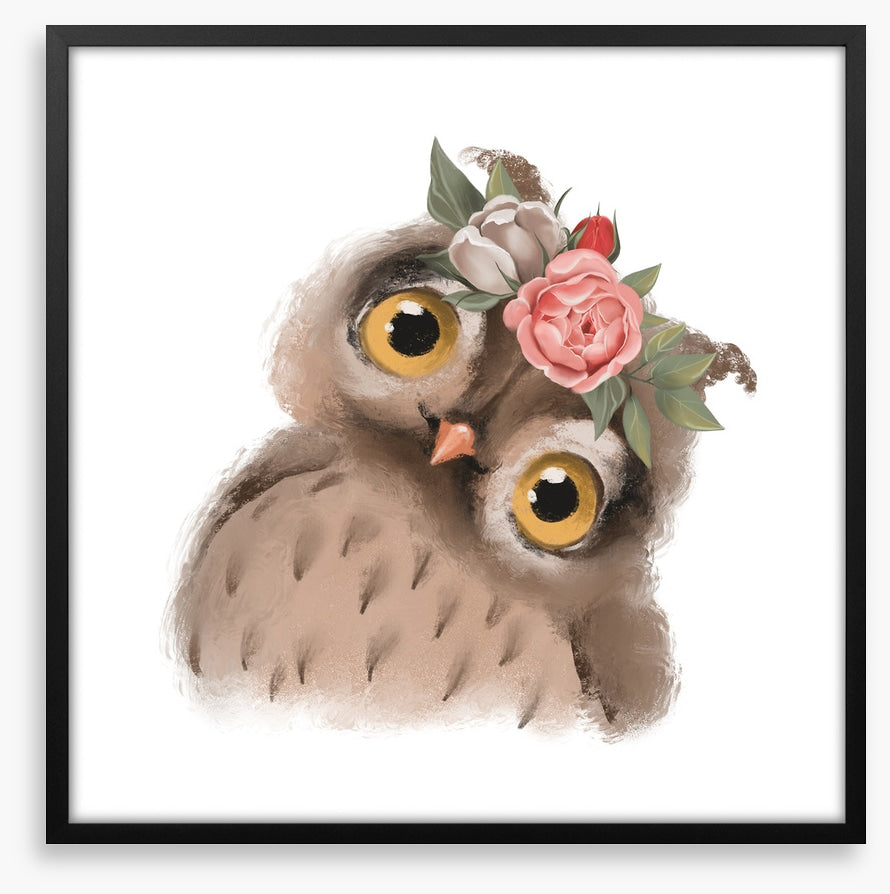 Little floral owl
