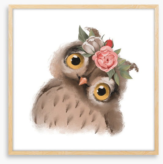 Little floral owl