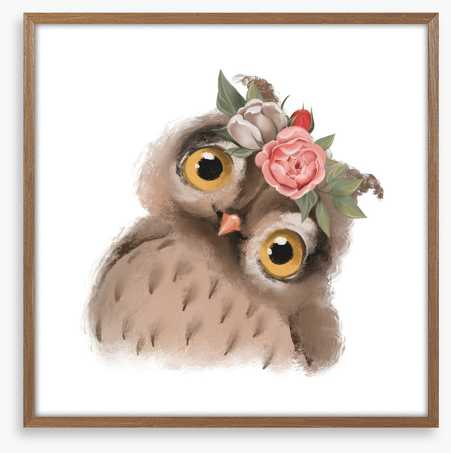 Little floral owl