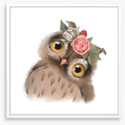 Little floral owl