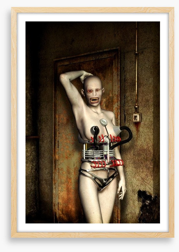 Robo Roberta