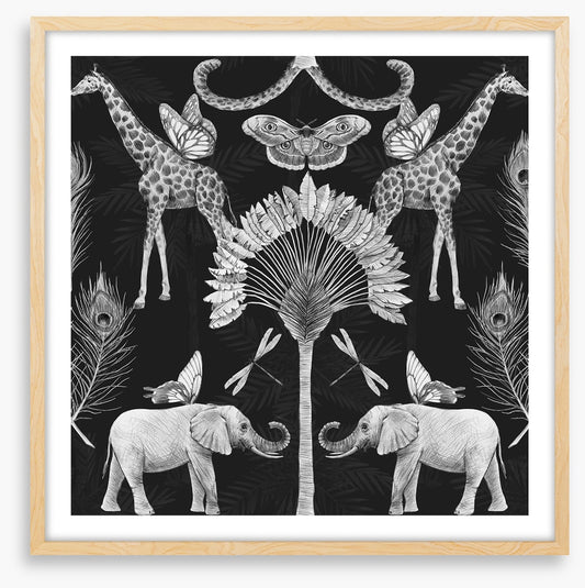 Moonlight menagerie