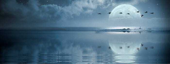 Full moon reflections