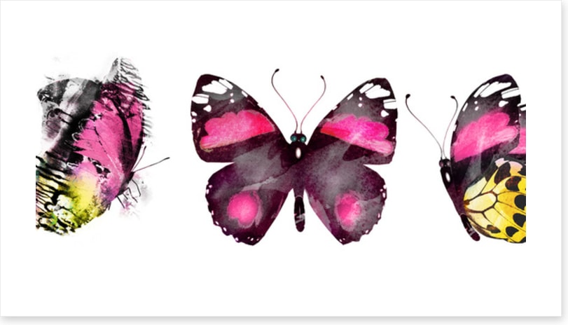 Butterflies