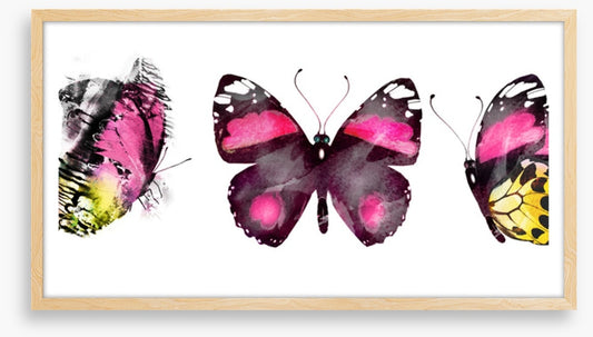 Butterflies