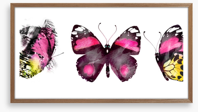 Butterflies