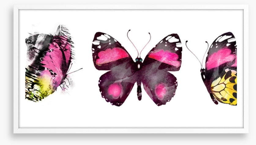 Butterflies