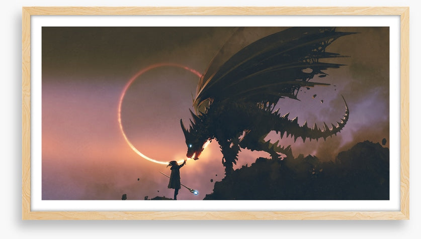 Taming the dragon