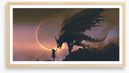 Taming the dragon