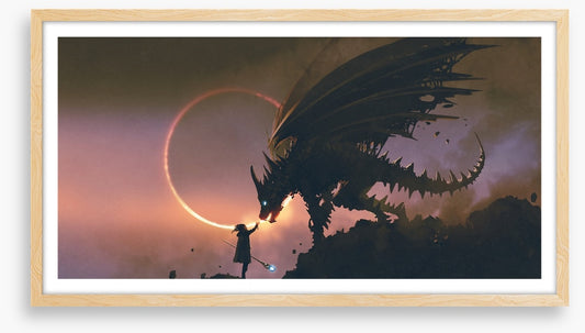 Taming the dragon