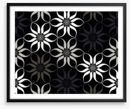 Shadow blooms