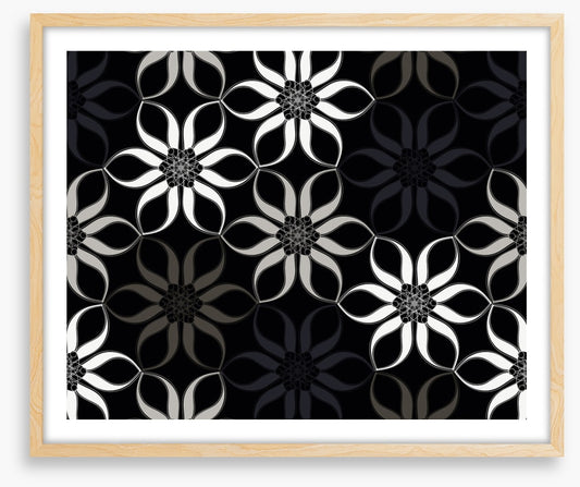 Shadow blooms